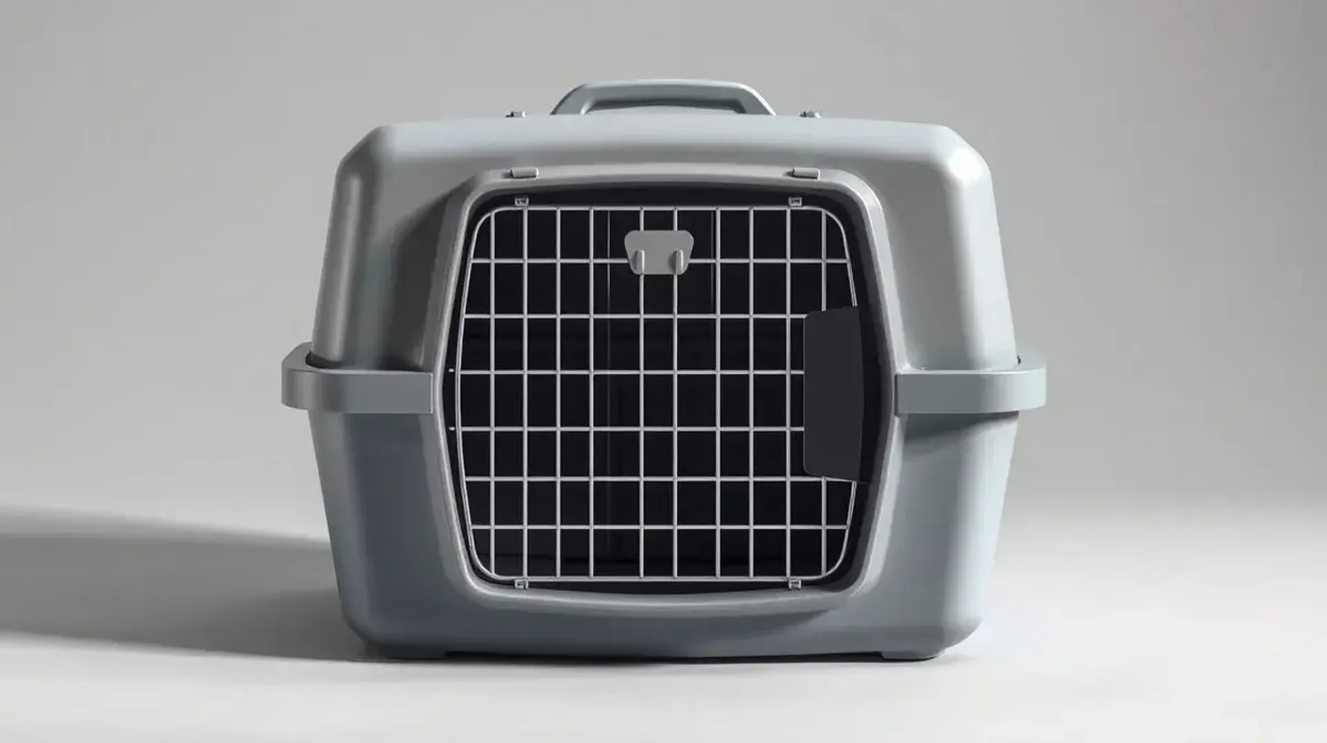 As 11 Melhores Caixas de Transporte para Gatos de 2026