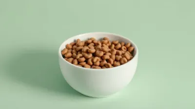 As 6 Melhores Rações Gastrointestinais para Gatos em 2026
