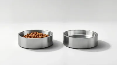 Comedouro para Gato: Conheça os 4 principais tipos e escolha o ideal